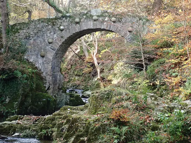 Foley's Bridge over the Shimna River in Tollymore Forest Park, County Down, in autumn