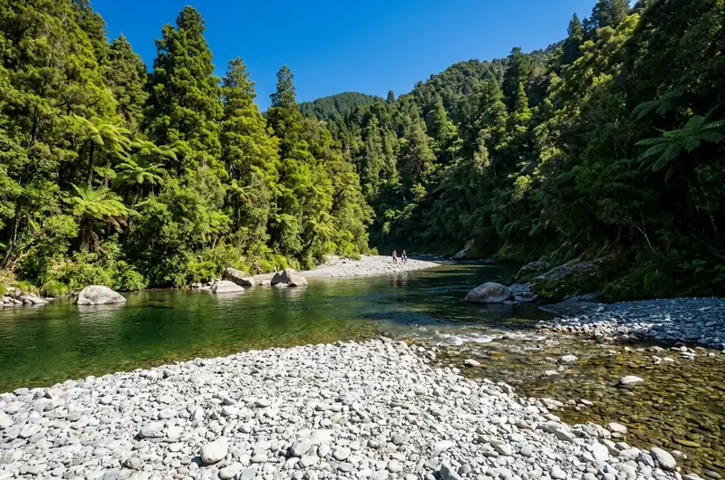 The clear green Hutt River curving between forested hills in Kaitoke Regional Park