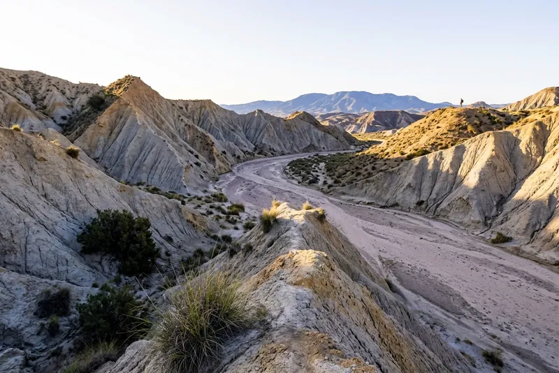 A dry riverbed winding between eroded gray badlands in the Tabernas desert, Almería